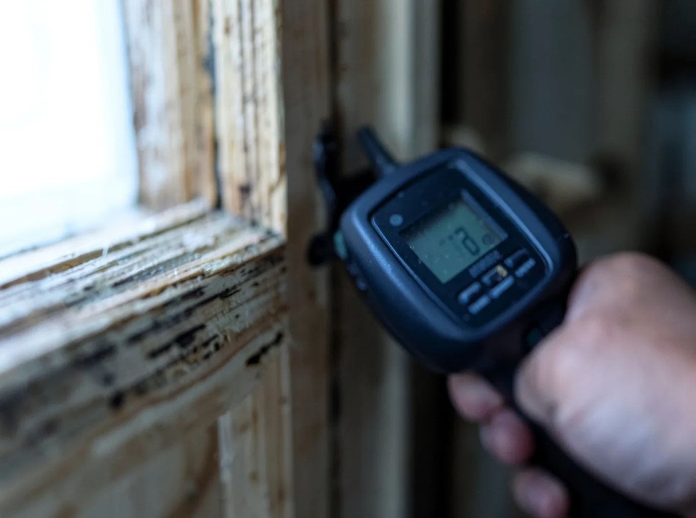 Moisture Inspection And Documentation in Greenville, IN